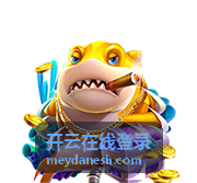 扫码登录失败时的排查与处理建议